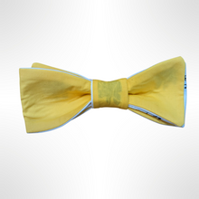 Load image into Gallery viewer, The Bee&#39;s Knees - Honey Bee Themed Bow Tie