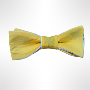 The Bee's Knees - Honey Bee Themed Bow Tie